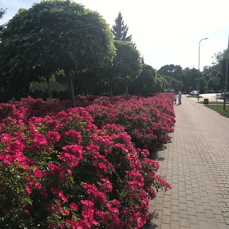 Grochowska Apartament Kolobrzeg